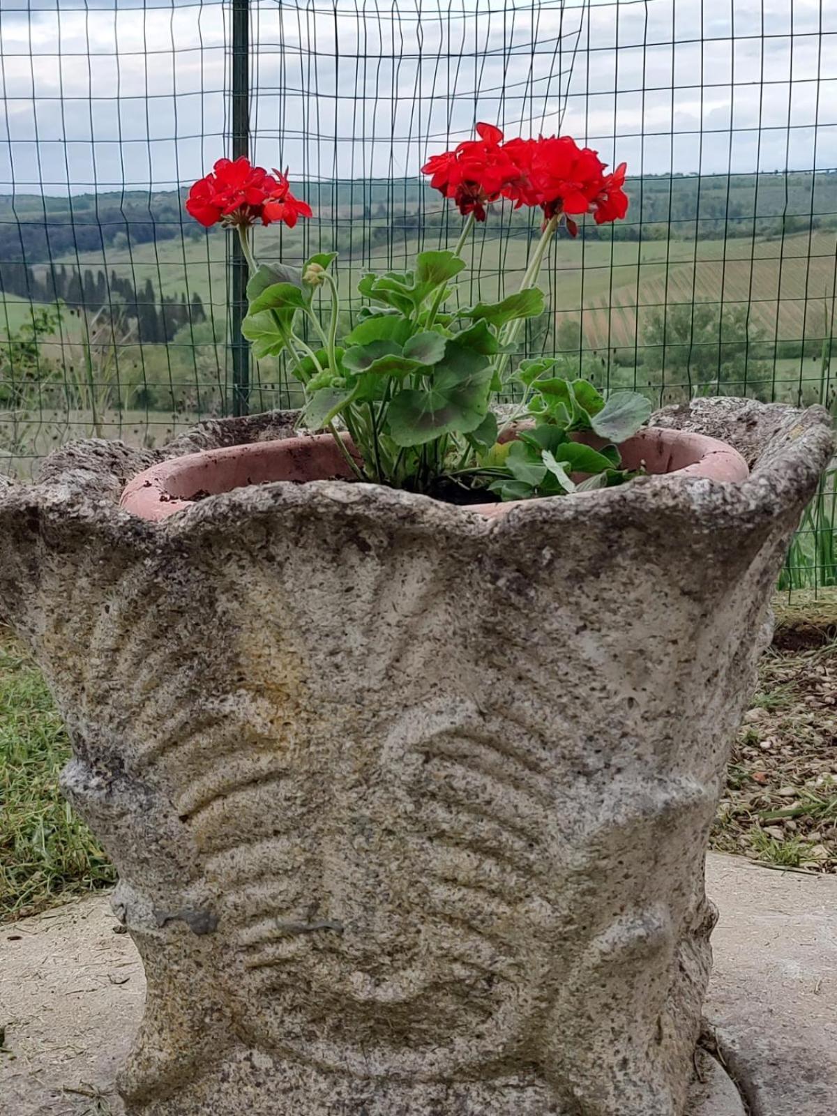 Il Giardino Del Chianti Apartment Сиена Екстериор снимка