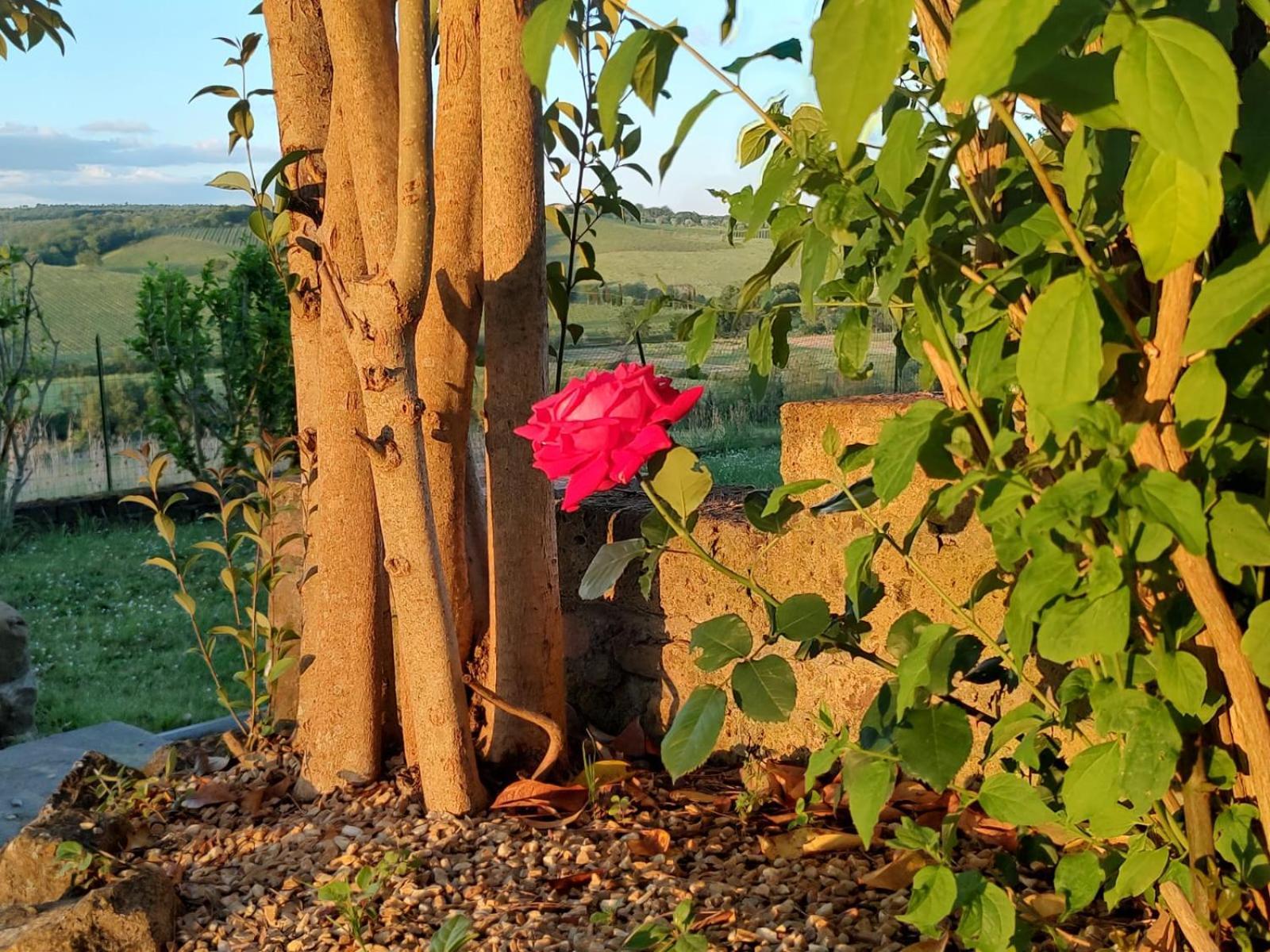 Il Giardino Del Chianti Apartment Сиена Екстериор снимка