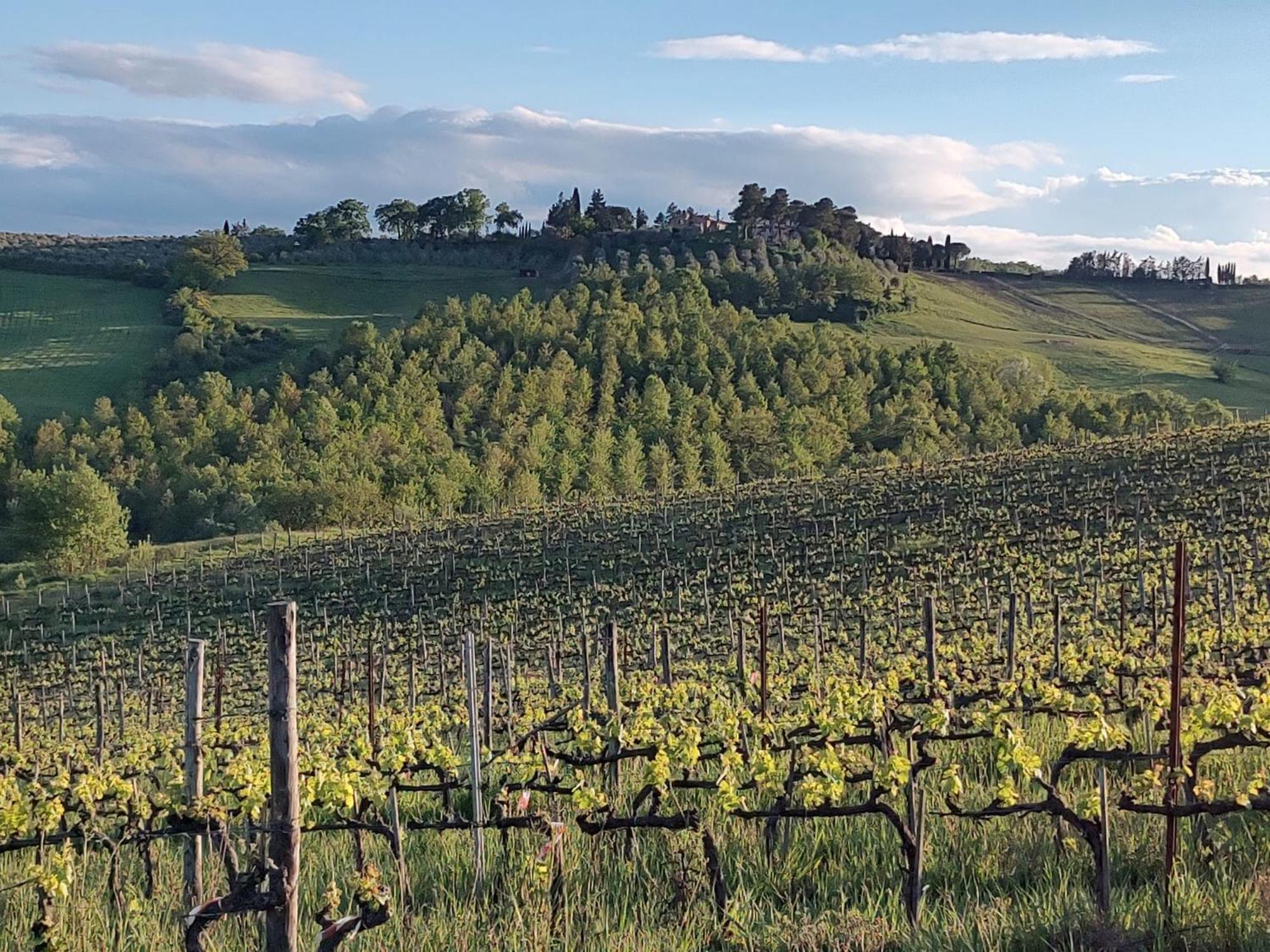 Il Giardino Del Chianti Apartment Сиена Екстериор снимка